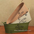 bucket succulent creative balcony do old flower pot